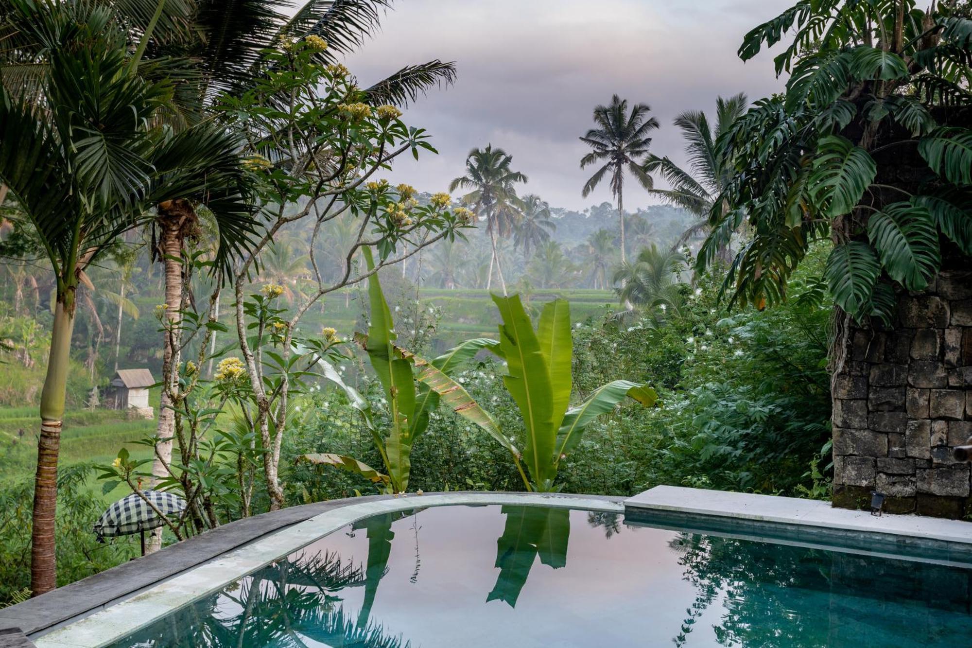 Nau Ubud Villa Tegallalang (Bali)