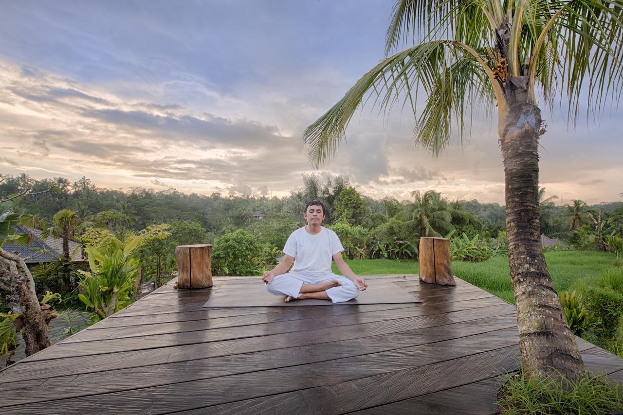 Villa Nau Ubud Tegallalang (Bali)